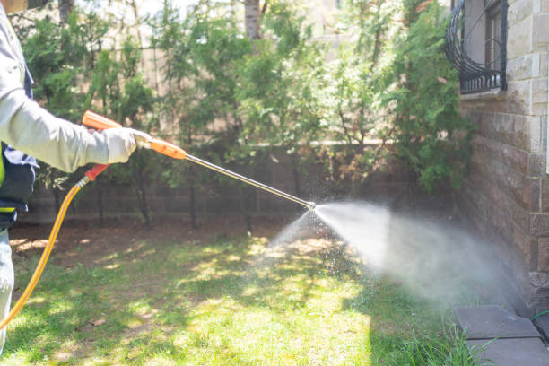 Best Pest Prevention Services  in Jersey Village, TX